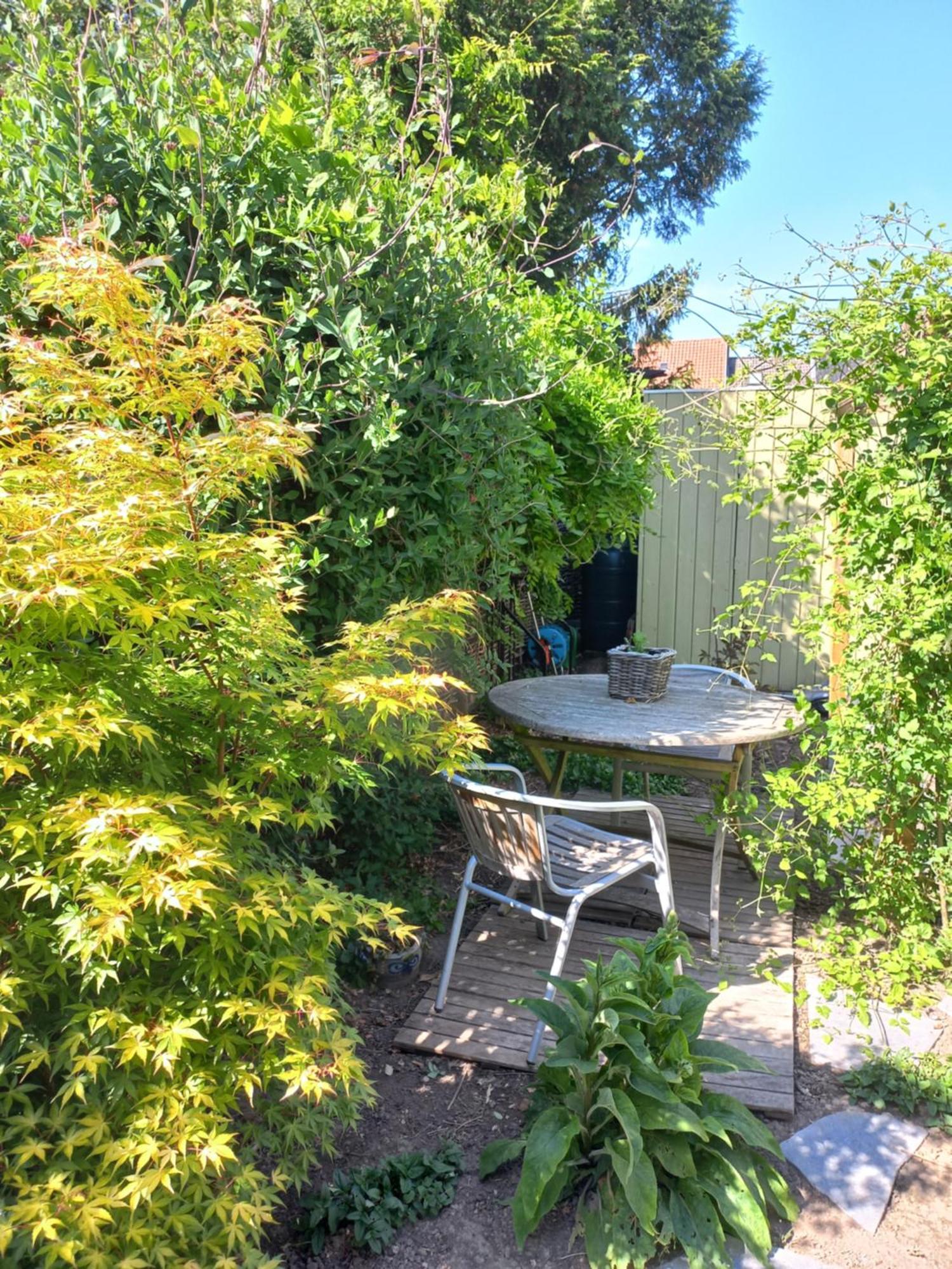 On-Ge-WoonAd Hasselt  Villa ภายนอก รูปภาพ